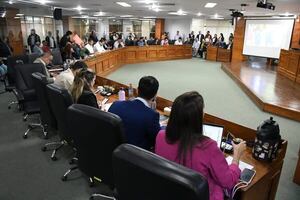 “Repuestos de oro” de Nenecho: Junta exige a Bello rescindir cuestionado contrato - Nacionales - ABC Color