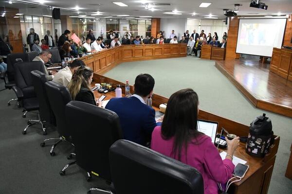 “Repuestos de oro” de Nenecho: Junta exige a Bello rescindir cuestionado contrato - Nacionales - ABC Color