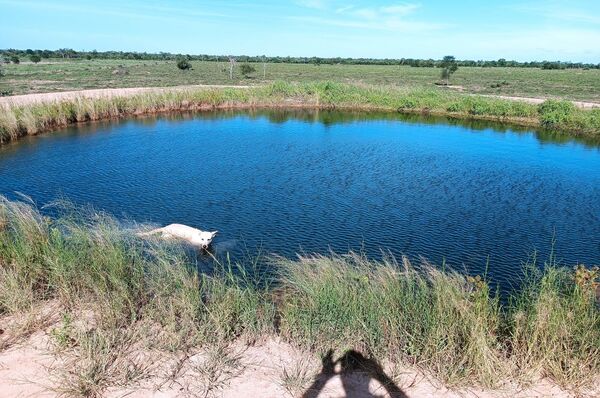 Encaminan la titulación de 100 lotes en el Chaco e inversiones por USD 10 millones