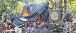 Senad destruye 10 toneladas de marihuana en Amambay