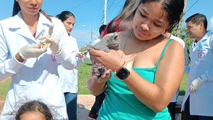 Campaña de vacunación y sanitación llega a tres barrios de Concepción - Concepción al Día