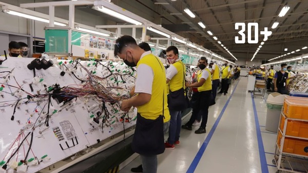 Avances en el mercado laboral: empleo formal en Paraguay va en constante aumento, aseguran - trece