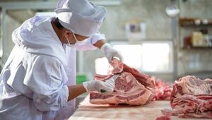 Paraguay debe crear un modelo de “mercado boutique” que posicione nuestra carne en los mejores mercados