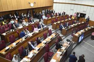 El Senado aprueba ampliación de G. 3.584 millones para el IPS - Política - ABC Color