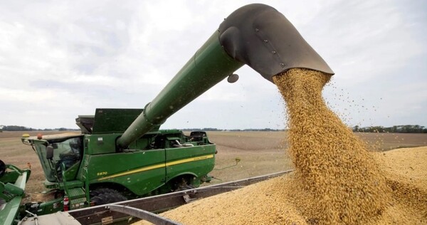 China comenzará a comprar soja de la Argentina