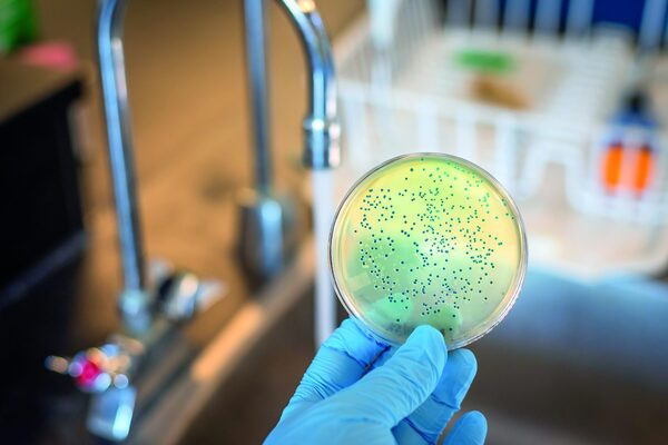 Bacterias NDM ponen en jaque el uso de antibióticos en EE. UU