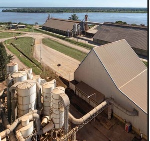 Industrialización de soja alcanza récord y consolida crecimiento, según la CAPPRO