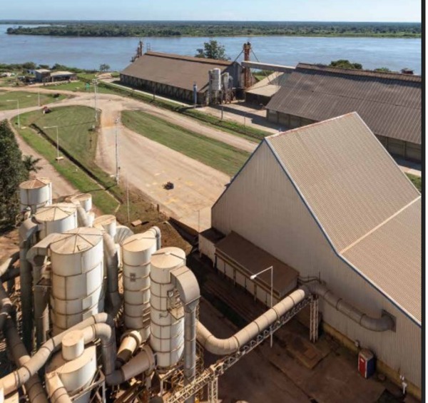 Industrialización de soja alcanza récord y consolida crecimiento, según la CAPPRO