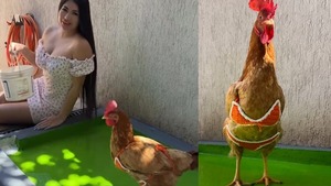 ¡Otro día sin ser Hortensia! Laurys Dyva mostró en redes la buena vida de su mascota - Teleshow