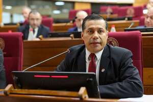 PG2 2026: presidente de ANDE defiende presupuesto y detalla obras para el próximo año - Economía - ABC Color