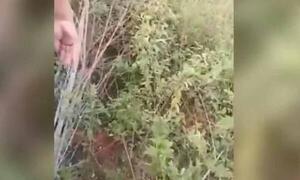 Muerte de adolescente: apuntan a defensora por no dar seguimiento al caso – Prensa 5