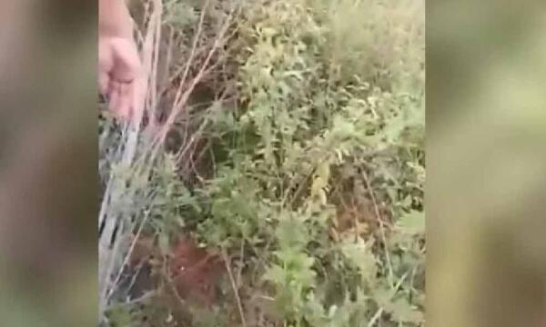 Muerte de adolescente: apuntan a defensora por no dar seguimiento al caso – Prensa 5