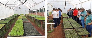 Invernaderos fortalecen producción agroecológica en Itapúa