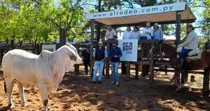 La Nación / Brahman de Corral concretó 2.247 millones en negocios