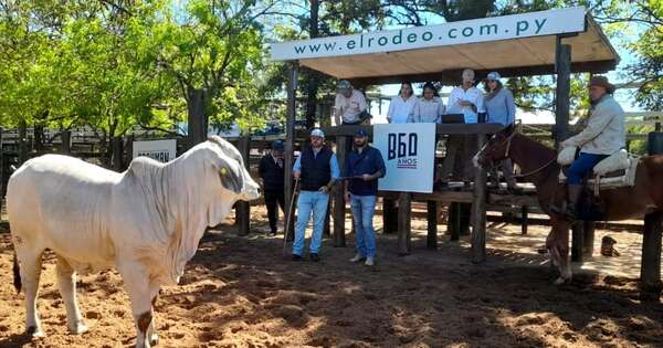 La Nación / Brahman de Corral concretó 2.247 millones en negocios