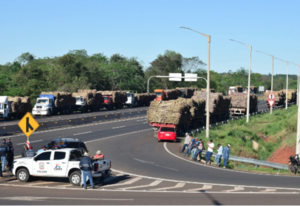 Cañicultores seguirán movilizados hasta conseguir culminación del tren de molienda de Petropar