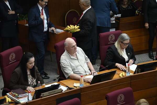Yolanda rearma su bancada de Cruzada y Walter Kobylanski la reemplazará ante el Parlasur - Política - ABC Color