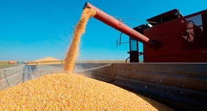 Argentina gravó nuevamente las exportaciones de granos y sus derivados agroindustriales