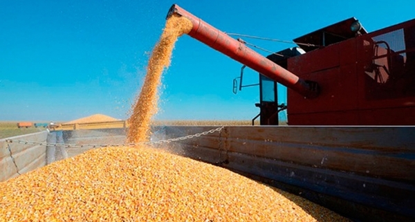 Argentina gravó nuevamente las exportaciones de granos y sus derivados agroindustriales
