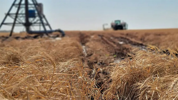 EE.UU repartirá ingresos procedentes de los aranceles a los agricultores