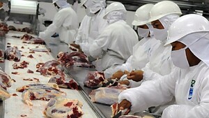 Faena y exportación de carne alcanzan cifras históricas