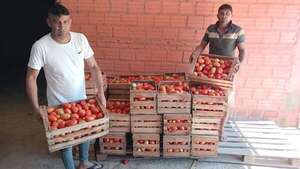 Mercado nacional saturado de tomates de contrabando - Nacionales - ABC Color