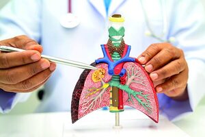 Día Mundial del Pulmón ambiente y prevención en Paraguay