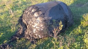 ¿Extraterrestres? Cayó un extraño objeto metálico en el Chaco argentino