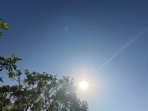 Ambiente cálido a caluroso y probabilidad de lluvias para el fin de semana - Concepción al Día