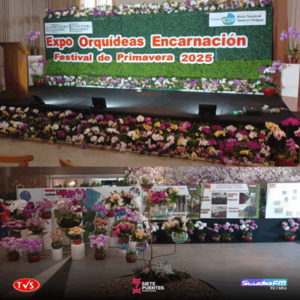 EXPO ORQUÍDEAS ENCARNACIÓN 2025 "FESTIVAL DE PRIMAVERA" - «TVS DIGITAL»