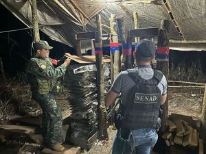 Incautan más de 10 toneladas de marihuana en operativo en San Pedro - ADN Digital
