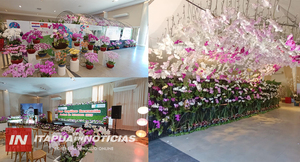 INICIA LA EXPO ORQUÍDEAS ENCARNACIÓN Y FESTIVAL DE PRIMAVERA