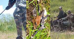 Diario HOY | Cámaras trampa descubren presencia de cazadores furtivos en reservas de la EBY