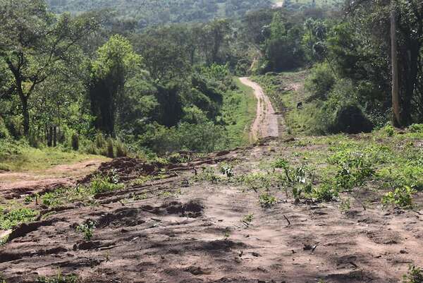Reinician trámites para realizar el proyecto de la anhelada circunvalación de la ruta en Santaní - Nacionales - ABC Color