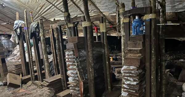 La Nación / Incautan 8 toneladas de marihuana en San Pedro