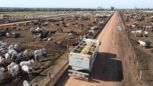 Confinamiento a medida: Ypoti potencia el negocio de la hotelería bovina en Paraguay