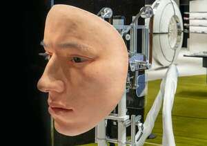 Robótica blanda: el salto tecnológico que acerca a los robots al movimiento animal y humano - Tecnología - ABC Color