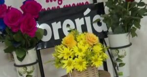 Flores y arreglos especiales para celebrar la primavera - SNT