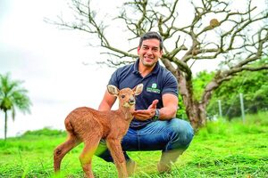 EBY refuerza lucha contra caza furtiva y reintroduce especies