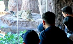 Más de 1.200 personas visitaron Tekotopa Centro Ambiental de Itaipu