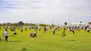 Costanera de Encarnación suma 400 nuevos árboles nativos