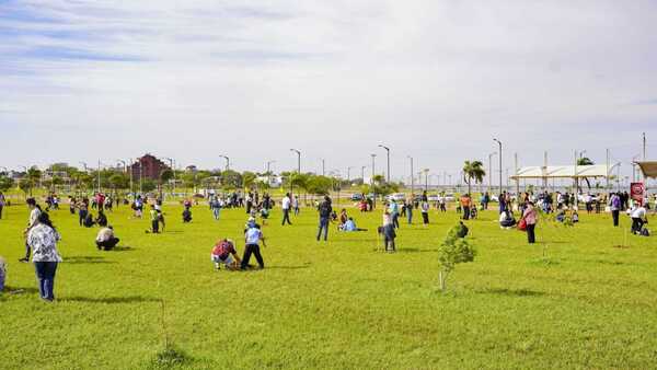 Costanera de Encarnación suma 400 nuevos árboles nativos