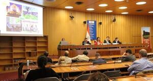 La Nación / Lanzan candidatura para integrar un comité de la ONU