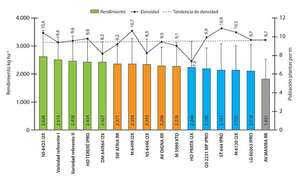 Resultados de Red de Ensayos de Evaluación de Fundación Ideagro - ABC Rural - ABC Color