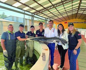 La acuicultura Paraguay y se consolida como esperanza productiva