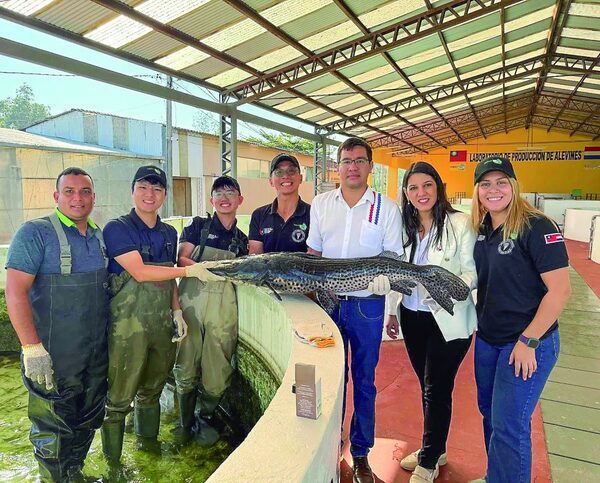 La acuicultura Paraguay y se consolida como esperanza productiva