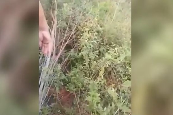 Crimen de adolescente en Limpio: detienen al principal sospechoso