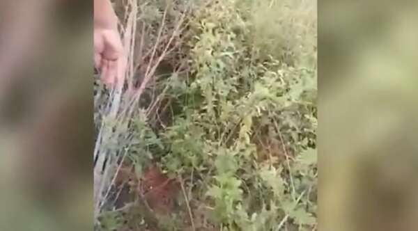 Detienen a adolescente sospechoso del homicidio de una joven en Limpio