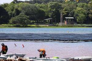 Itaipú: Culmina instalación de los paneles solares flotantes en el embalse - Economía - ABC Color