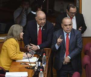 Frágil mayoría y crisis en el cartismo amenazan a la presidencia de Bachi Núñez en el Senado  - Política - ABC Color